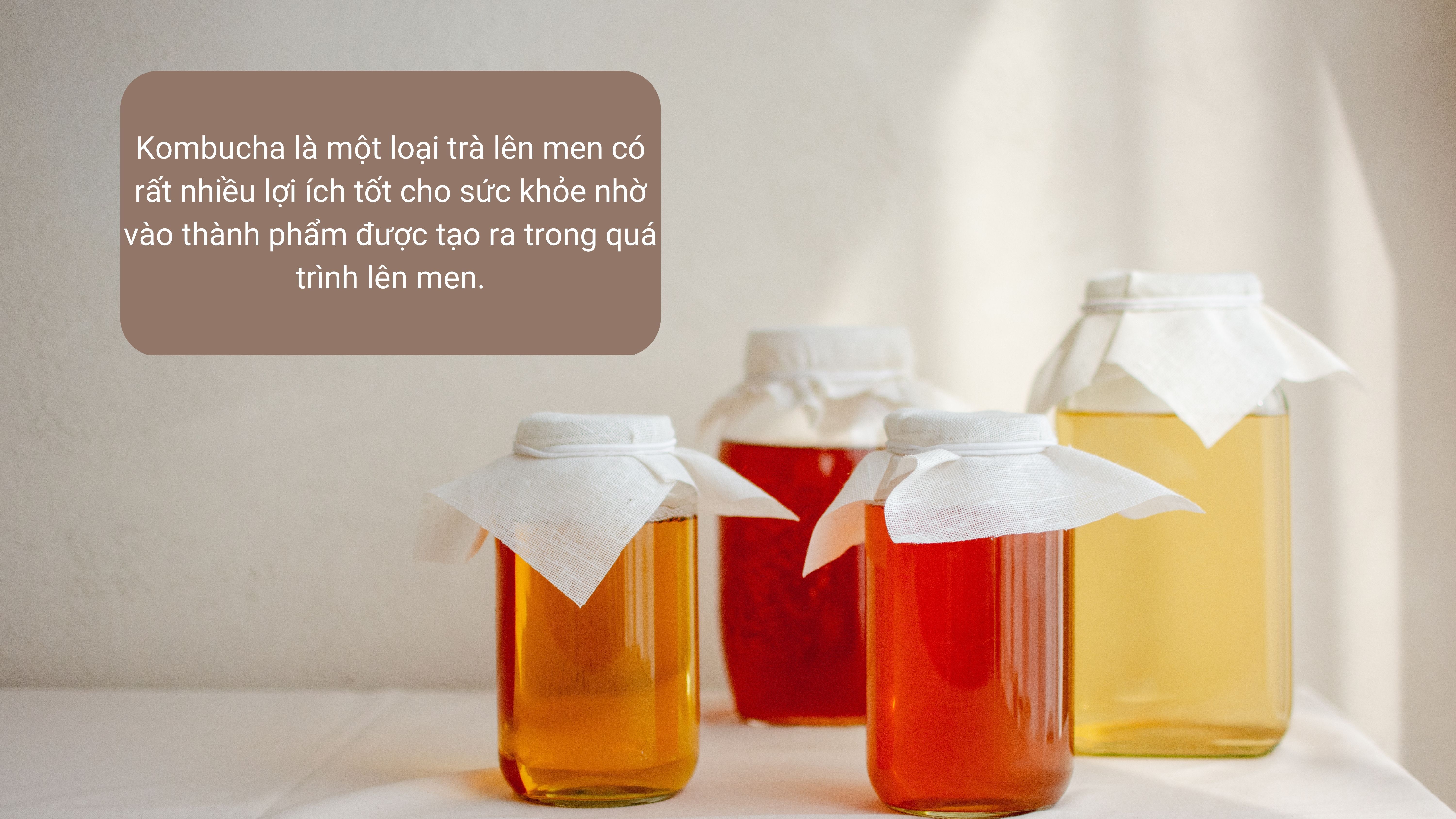 Kombucha Trà Bất Tử Một Điểm Nhấn Sức Khỏe Đáng Chú Ý