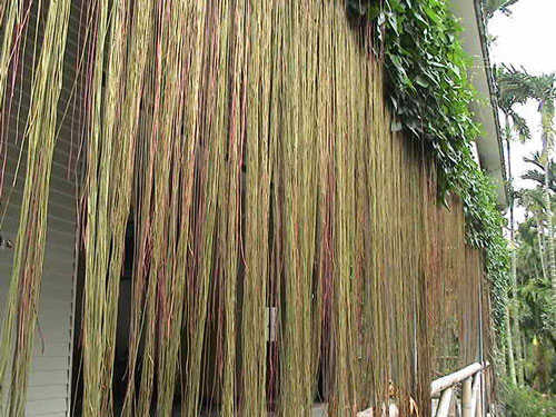 day leo ban cong 692170ff0ee95